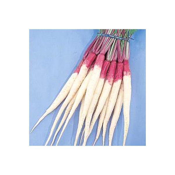 ؂̎/q ؕEJu 1dli[֔j^LCc