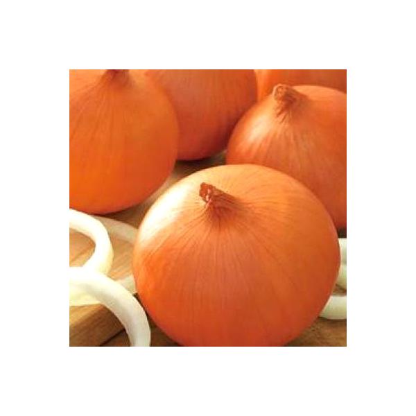 ؂̎/q P܁E^}lM 2dli܁j^LCc