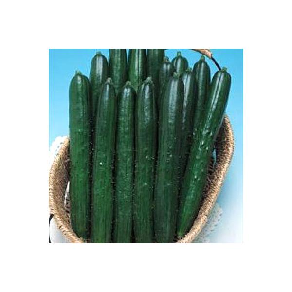 ؂̎/q Ă΂₵Eイ LE 350i[֔/܁j^LCc