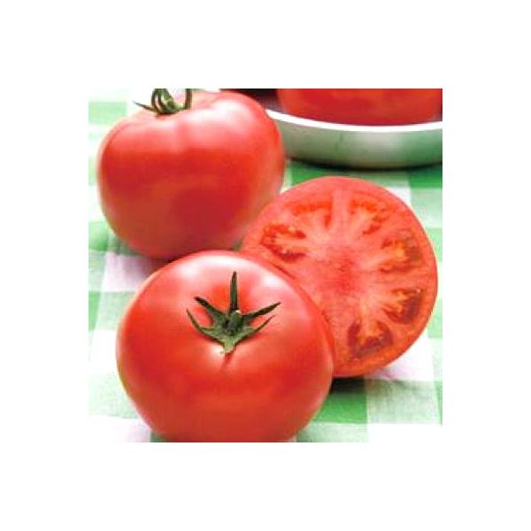 野菜の種/種子 桃太郎ピース・トマト 1000粒（メール便発送/大袋）タキイ種苗