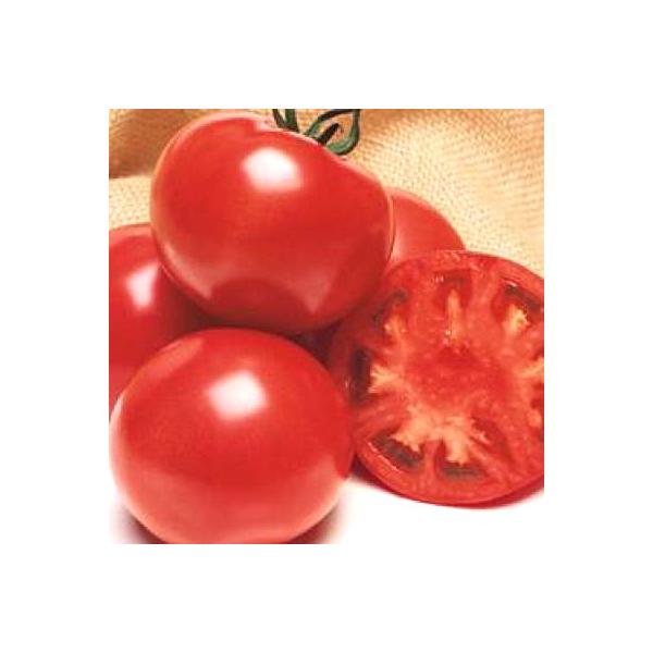 ؂̎/q CFYt@CgEg}g 1000i[֔/܁j^LCc