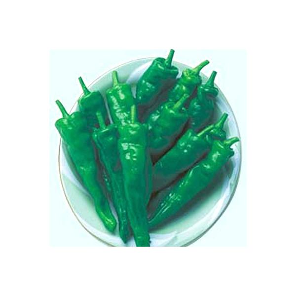 ؂̎/q ÂƂlEgEKV Ƃ炵 500i[֔j^LCc