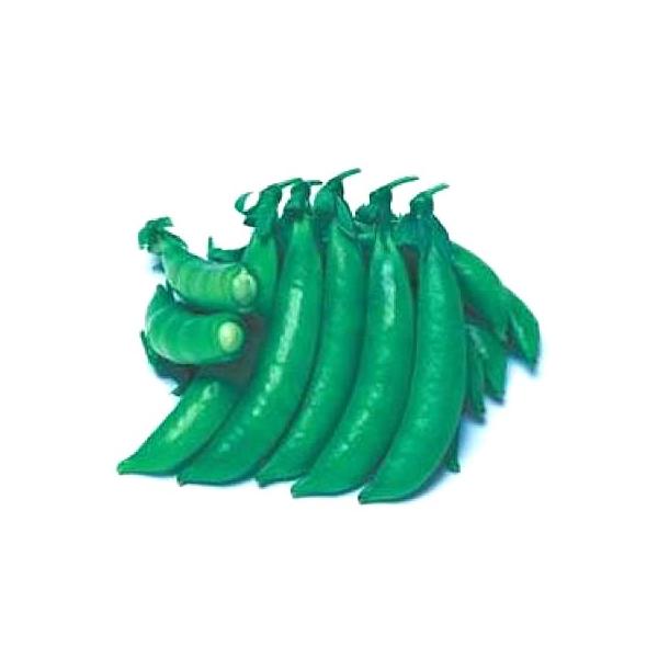 ؂̎/q WbL[Eǂ 1dli[֔j^LCc