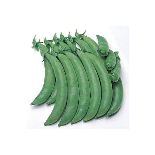 ؂̎/q OEǂ 1Li܁j^LCc