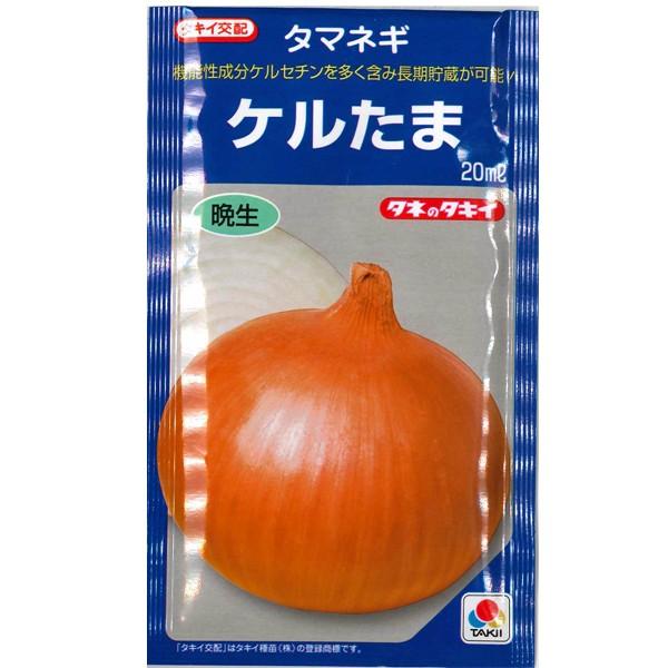 野菜の種/種子 ケルたま・タマネギ 玉ねぎ 玉葱 20ml（メール便発送）タキイ種苗