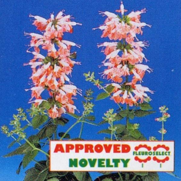 Ԃ̎icpjTrA RNVlA R[ jt 10ml ^LCci[֔j