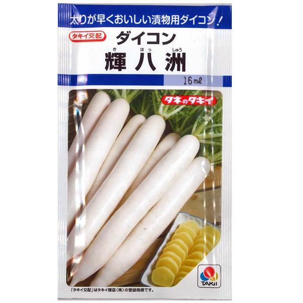 野菜の種/種子 輝八洲 大根 だいこん 14ml（メール便発送）タキイ種苗