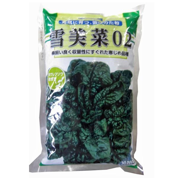 野菜の種/種子 雪美菜02 ・ちぢみほうれんそう 3万粒［緑］ (大袋