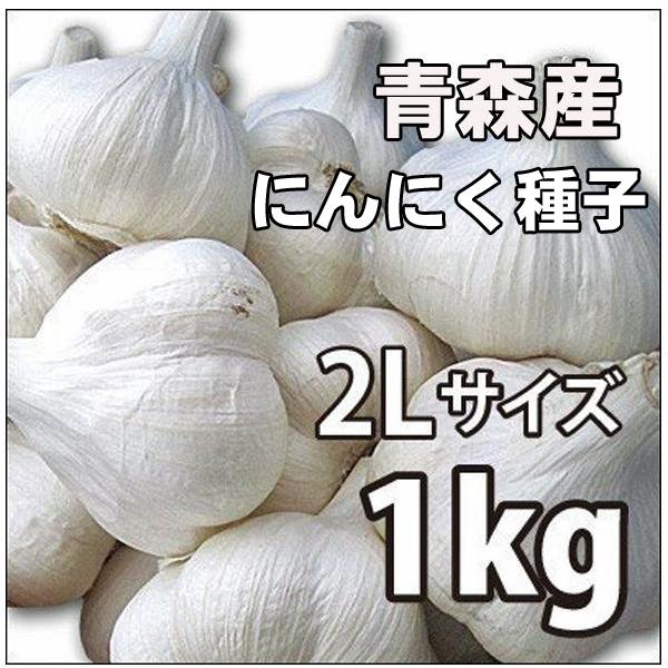青森県 にんにく種子10Kg L消毒済み 【食べれません】