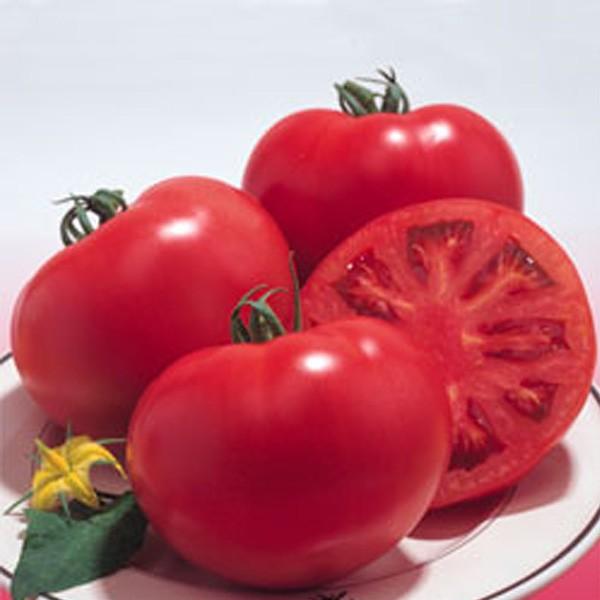 ؂̎/q Y8Eg}g 18i[֔j^LCc