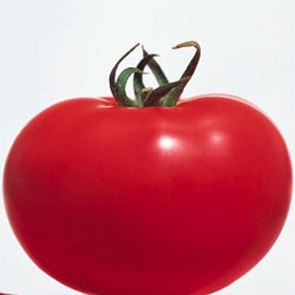 ؂̎/q YEg}g 1000i[֔/܁j^LCc