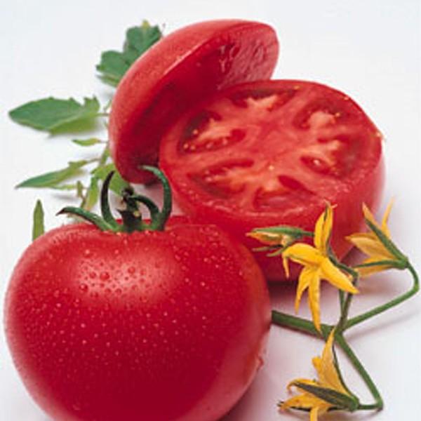 野菜の種/種子 桃太郎T93・トマト 1000粒（メール便発送/大袋）タキイ種苗