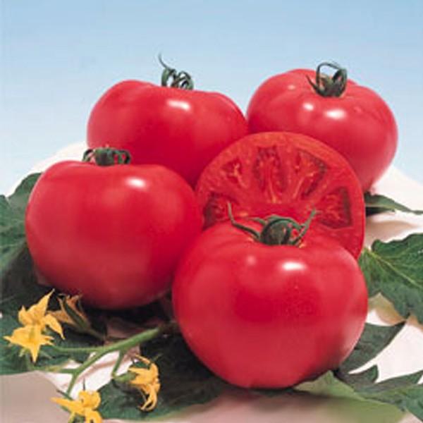 ؂̎/q nEXYEg}g 30i[֔j^LCc