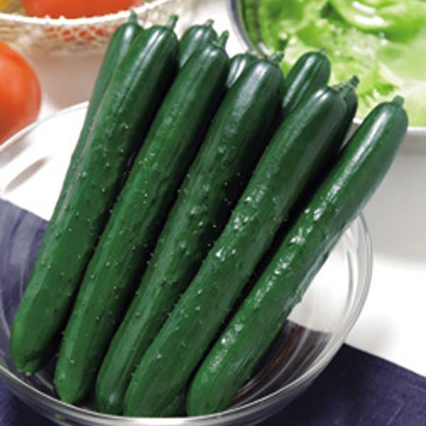 ؂̎/q VRĂ݁ELE イ 350i[֔/܁j^LCc