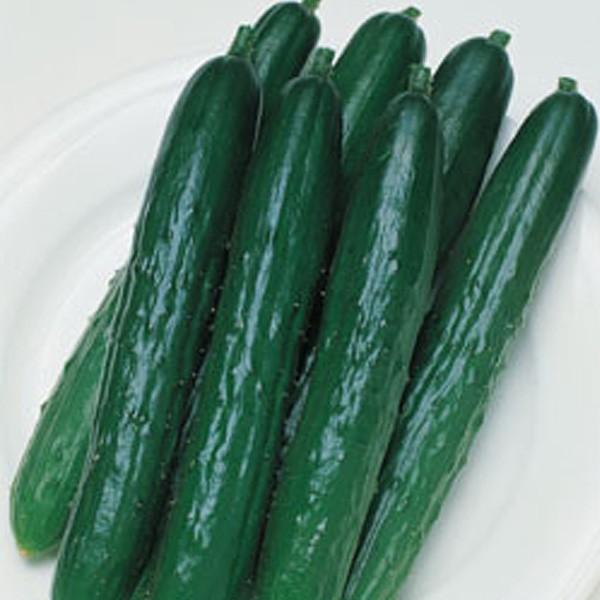 ؂̎/q kiELE イ 350i[֔/܁j^LCc