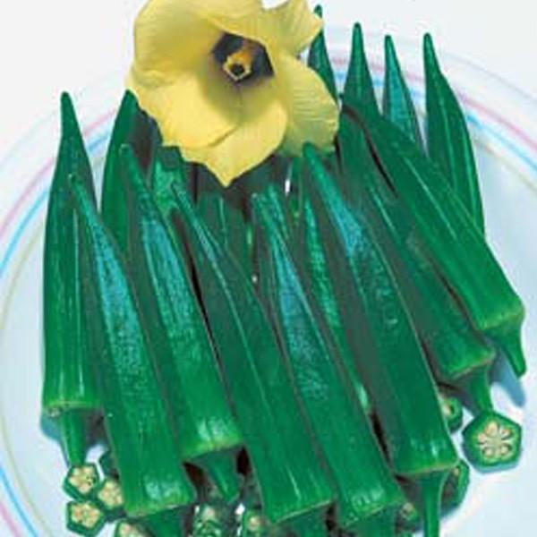 野菜の種/種子 アーリーファイブ・オクラ おくら 1000粒（メール便発送