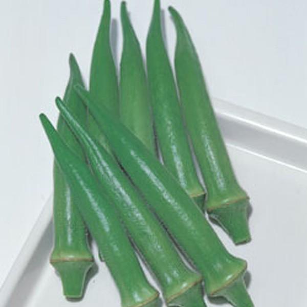 ؂̎/q GhEIN  115i[֔j^LCc