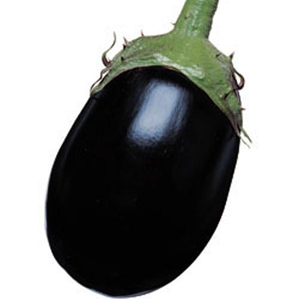 ؂̎/q 킵EiX ֎q Ȃ 2000i܁j^LCc