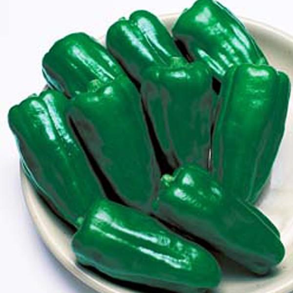 ؂̎/q gEs[} 45i[֔j^LCc