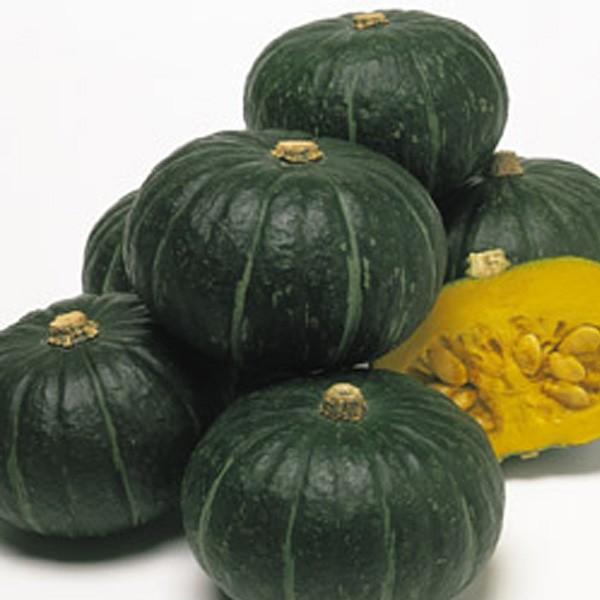 ؂̎/q قPEJ{` ڂ 100i[֔j^LCc