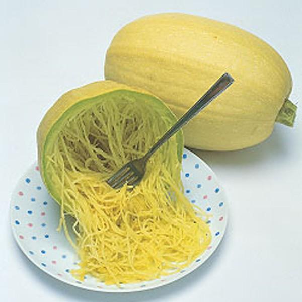 ؂̎/q ZE߂ J{` ڂ 100i[֔j^LCc