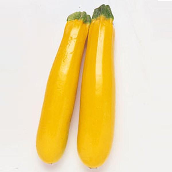 野菜の種 種子 オーラム ズッキーニ 100粒 メール便発送 タキイ種苗 Vg ベジタブルガーデン ハラダ 通販 Yahoo ショッピング