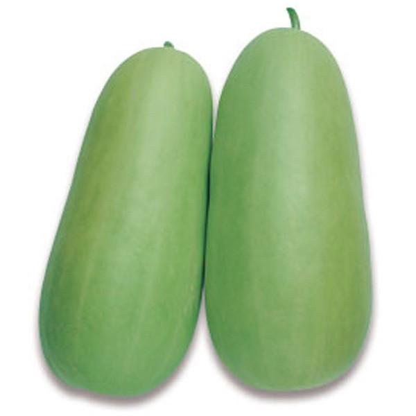 ؂̎/q ڔZEVE 500i[֔j^LCc