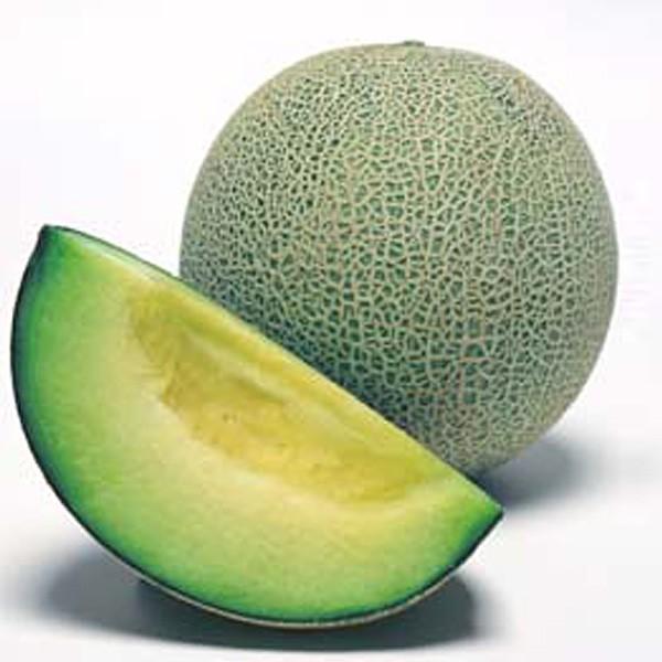 ؂̎/q piE 100i[֔/܁j^LCc