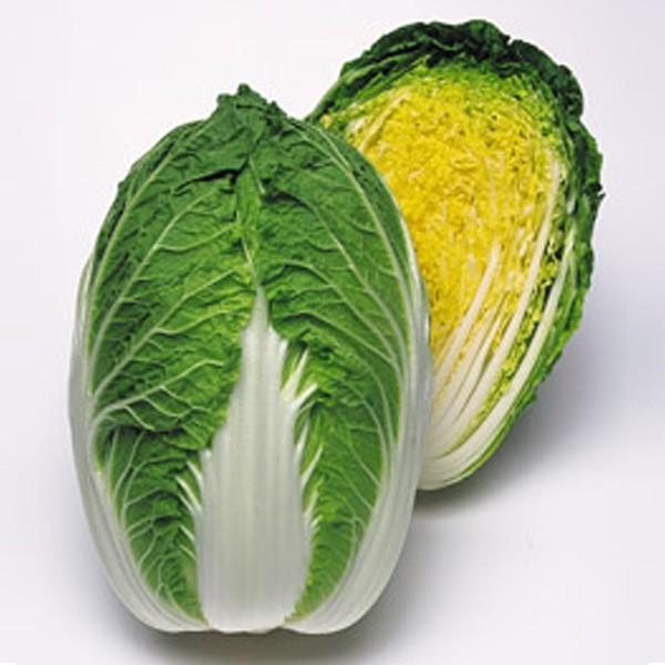 ؂̎/q tEnNTC ybg5000i܁j^LCc