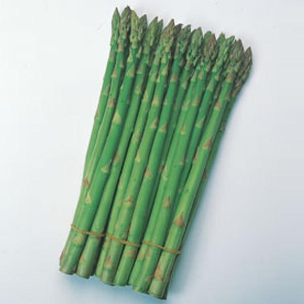 ؂̎/q V[EAXpKX 20mli[֔j^LCc