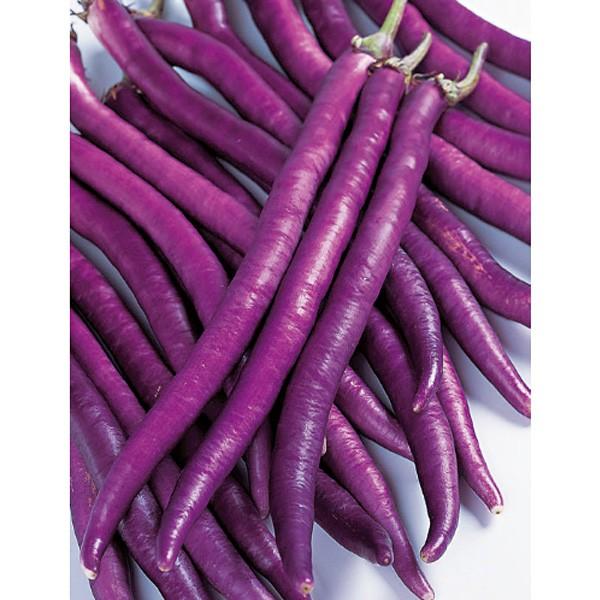 ؂̎/q }[VEiX ֎q Ȃ 500i[֔jTJ^̃^l c