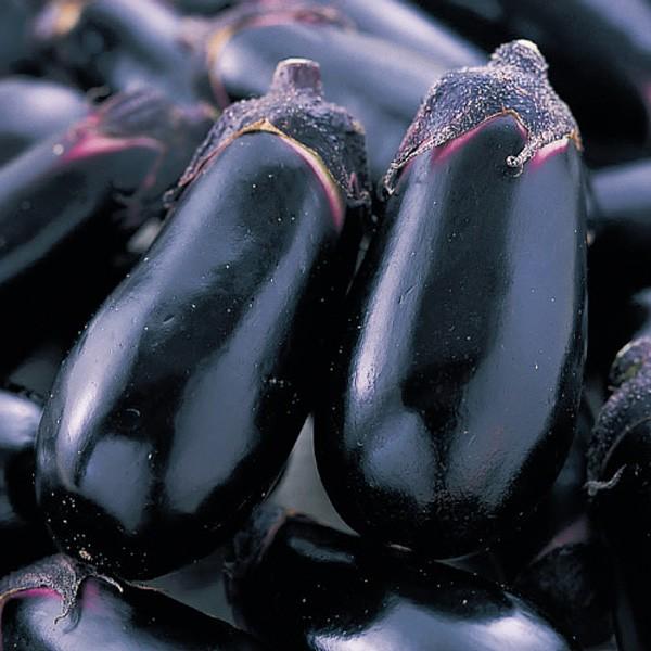 種 ナスの人気商品 通販 価格比較 価格 Com