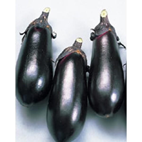 ؂̎/q EiX ֎q Ȃ 0.8mli[֔jTJ^̃^l c