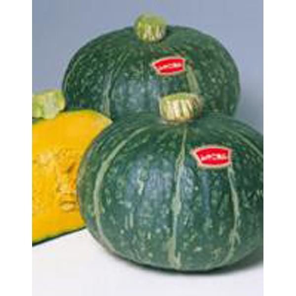 ؂̎/q ݂₱EJ{` ڂ 100i[֔jTJ^̃^l c