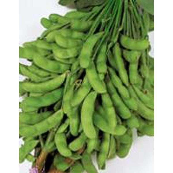 ؂̎/q Ă̐E܂ 1Li܁jTJ^̃^l c