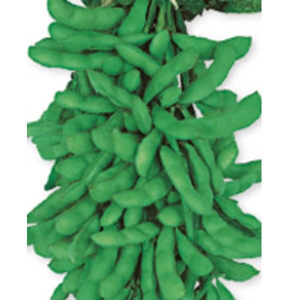 ؂̎/q Ăׁ̒E܂ 1dli[֔jTJ^̃^l c