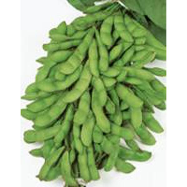 ؂̎/q Ă̑E܂ 1Li܁jTJ^̃^l c