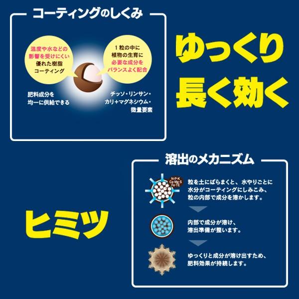 ハイポネックス Nexcote ネクスコート 観葉植物用 500g 園芸用品 肥料 Buyee Buyee 日本の通販商品 オークションの代理入札 代理購入