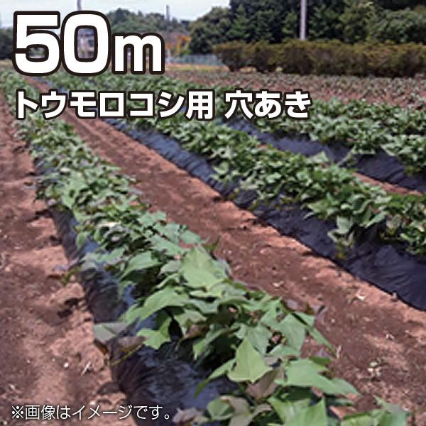 _Ɨp}`V[g }`tB gERVp   50mi95cm/0.02mm/a4.5cm×2璹j_Ǝ