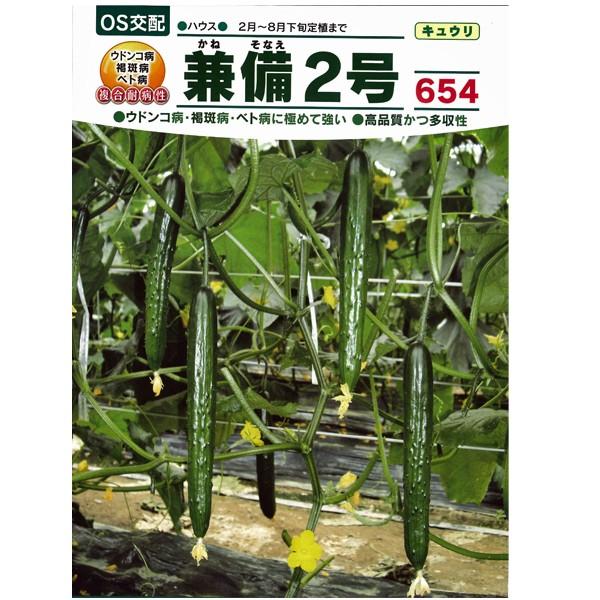 野菜の種/種子 兼備 2号 654 350粒 キュウリ きゅうり （メール便発送