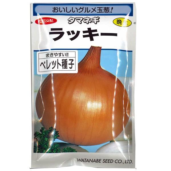 野菜の種/種子 ラッキー・タマネギ 玉ねぎ 玉葱 ペレット種子 180粒