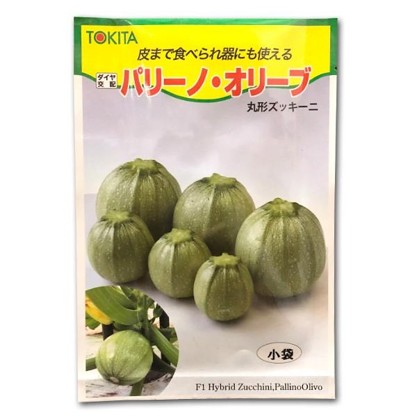 野菜の種/種子 パリーノ・オリーブ 丸形ズッキーニ 10粒（メール便発送）【5月中下旬頃発送】