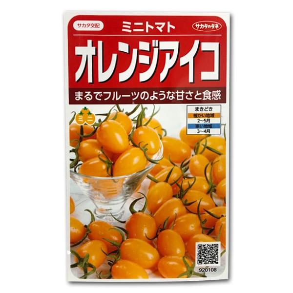 野菜の種/種子 オレンジアイコ・ミニトマト 13粒（メール便発送