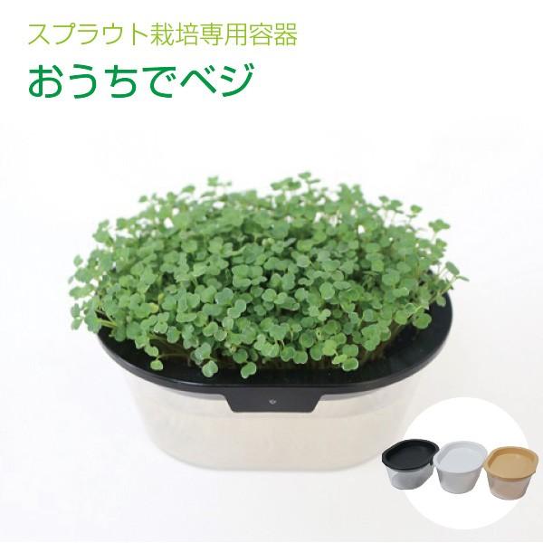 おうちでベジ スプラウト専用 栽培容器 Vg ベジタブルガーデン ハラダ 通販 Yahoo ショッピング