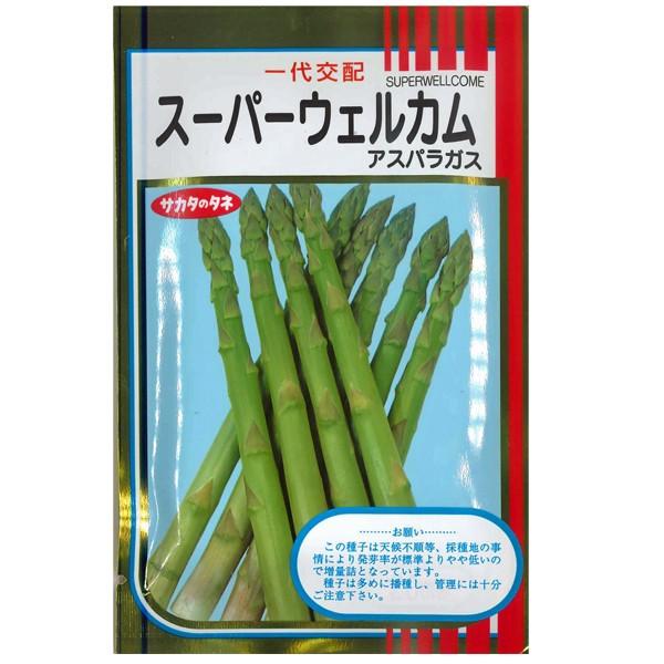 野菜の種/種子 スーパーウェルカム・アスパラガス 20ml（メール便発送