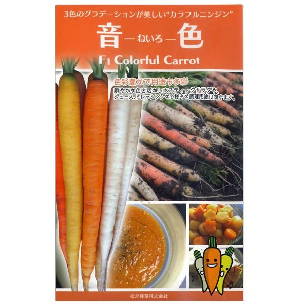 野菜の種/種子 カラフルニンジン 音色 ねいろ にんじん キャロット