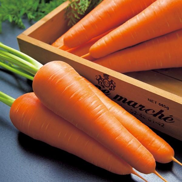 ؂̎/q ނ jW ybg500i[֔j^LCc