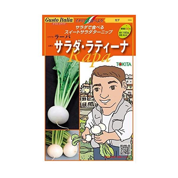 ؂̎/q@T_EeB[i /[pEJuEC^A؁@200@i[֔jgL^c