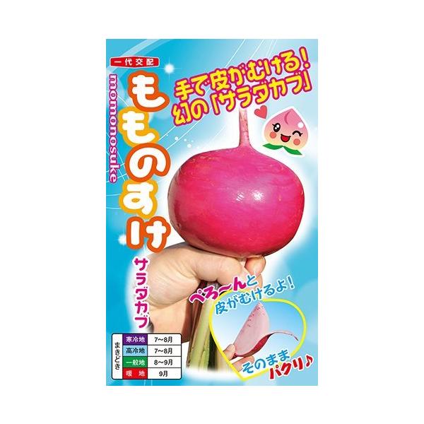 ؂̎/q@̂ T_Ju@20ml i[֔/܁jigc