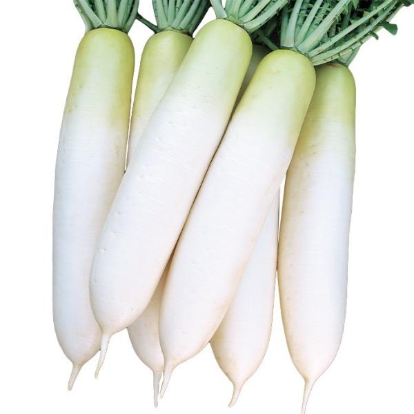 ؂̎/q t̎E _CR 5000 ybgqi܁jTJ^̃^l c